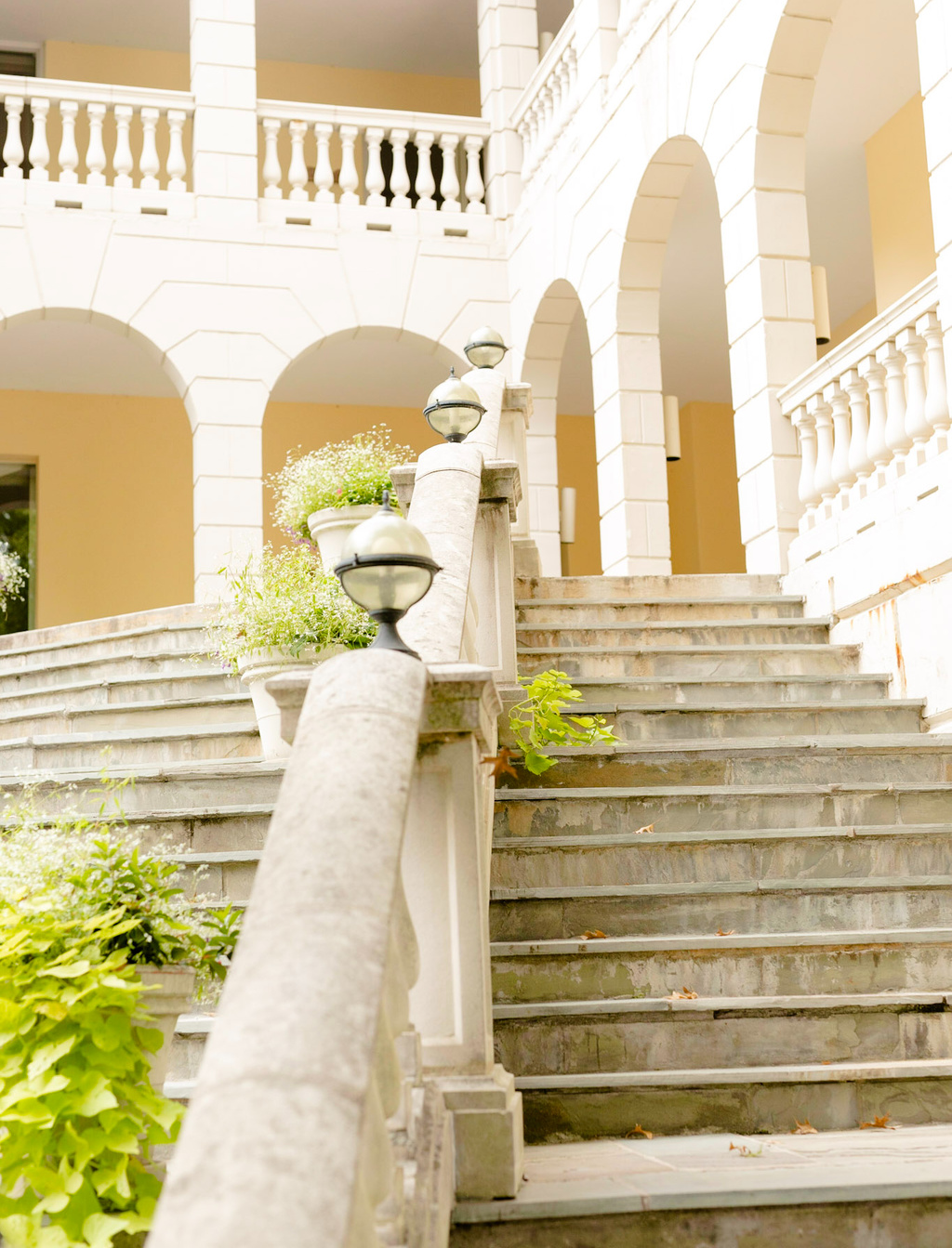 Darling Fall Garden Wedding At Airlie | Caroline & Dylan | Virginia Wedding Photographer