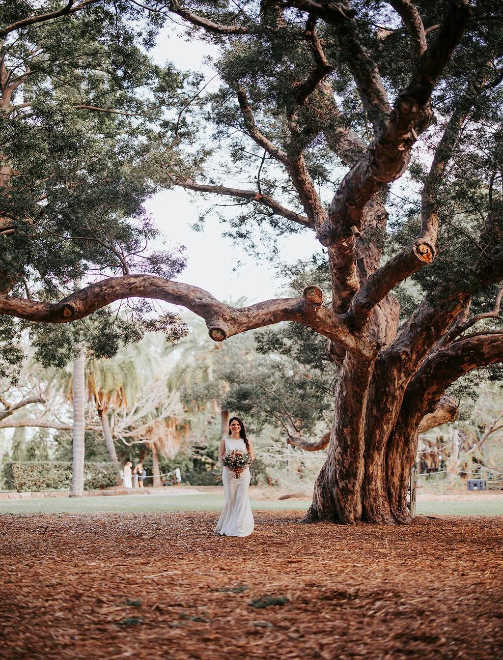 Dreamy Wedding In Brisbane City Beneath A Fig Tree