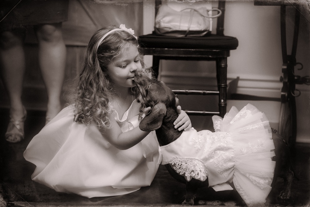 Incorporating Pets At Your Wedding