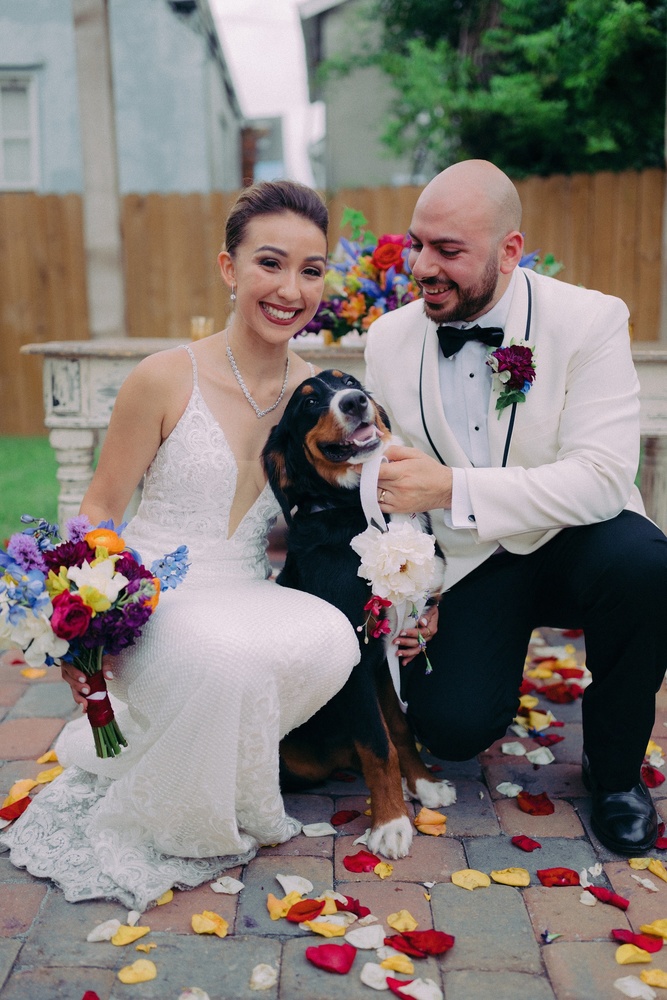 Incorporating Pets At Your Wedding