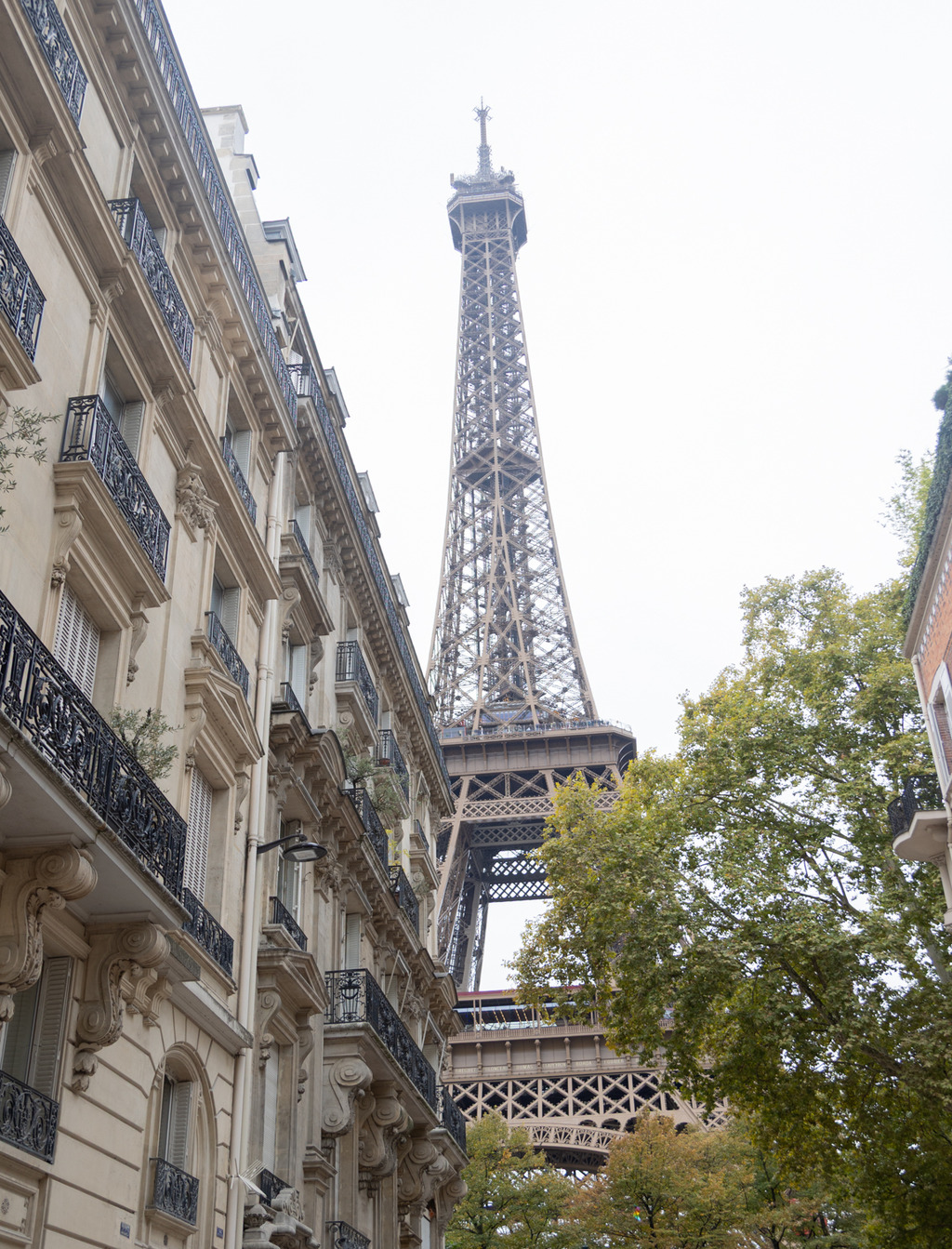 Romance Under The Parisian Sky