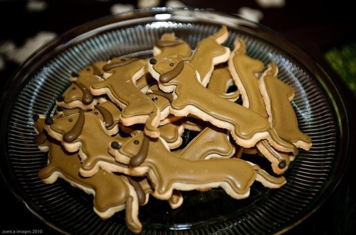 Incorporating Pets At Your Wedding