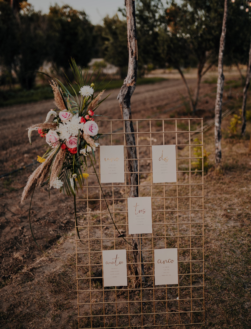 Photo  Shoot  Tamarindos