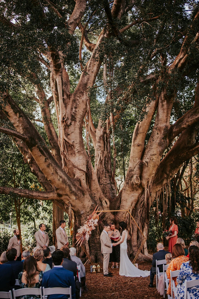 Dreamy Wedding In Brisbane City Beneath A Fig Tree