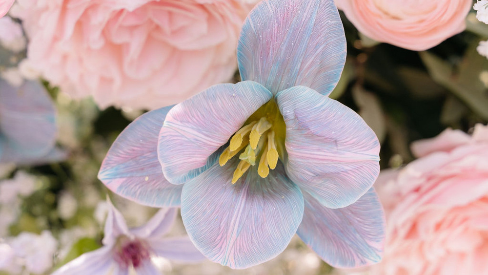 An Intimate Wedding By Lake Como Shores
