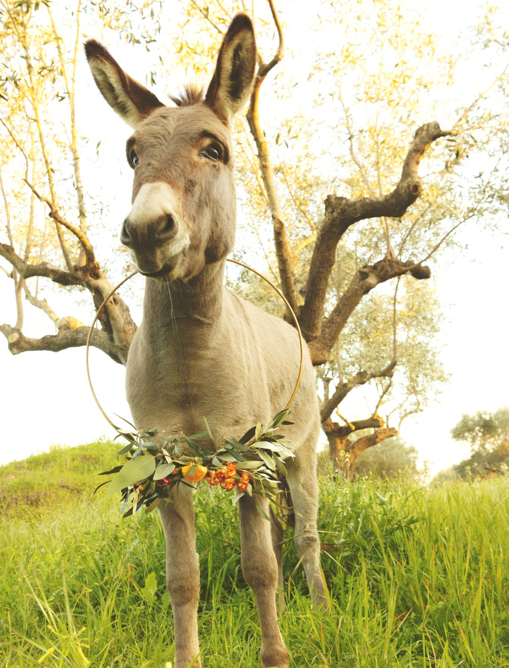 Mediterranean Inspiration Styled Shoot In Mani Peninsula - Greece
