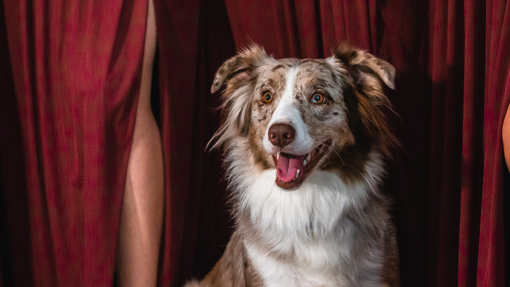 Whatever Happened To Tradition: A Look At First Looks