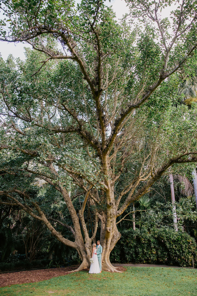 How To Elope In Brisbane From Overseas