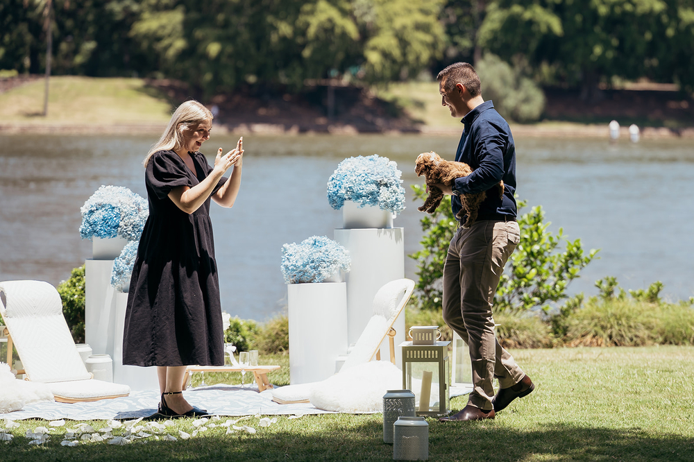 A Surprise Puppy And Proposal