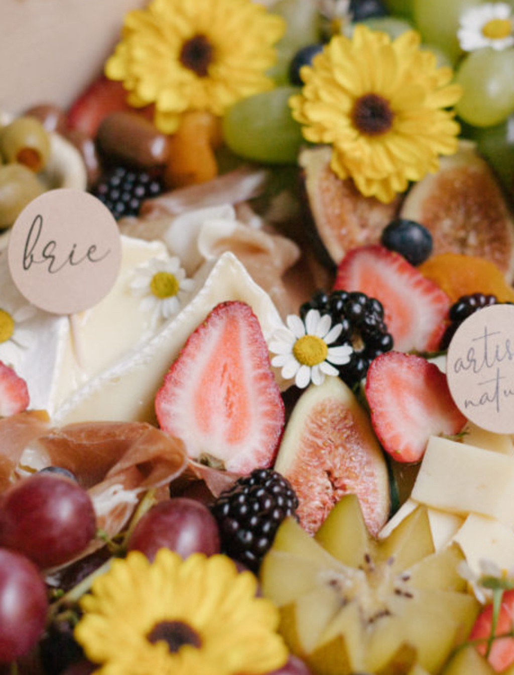 Runyon Canyon Mountain Elopement