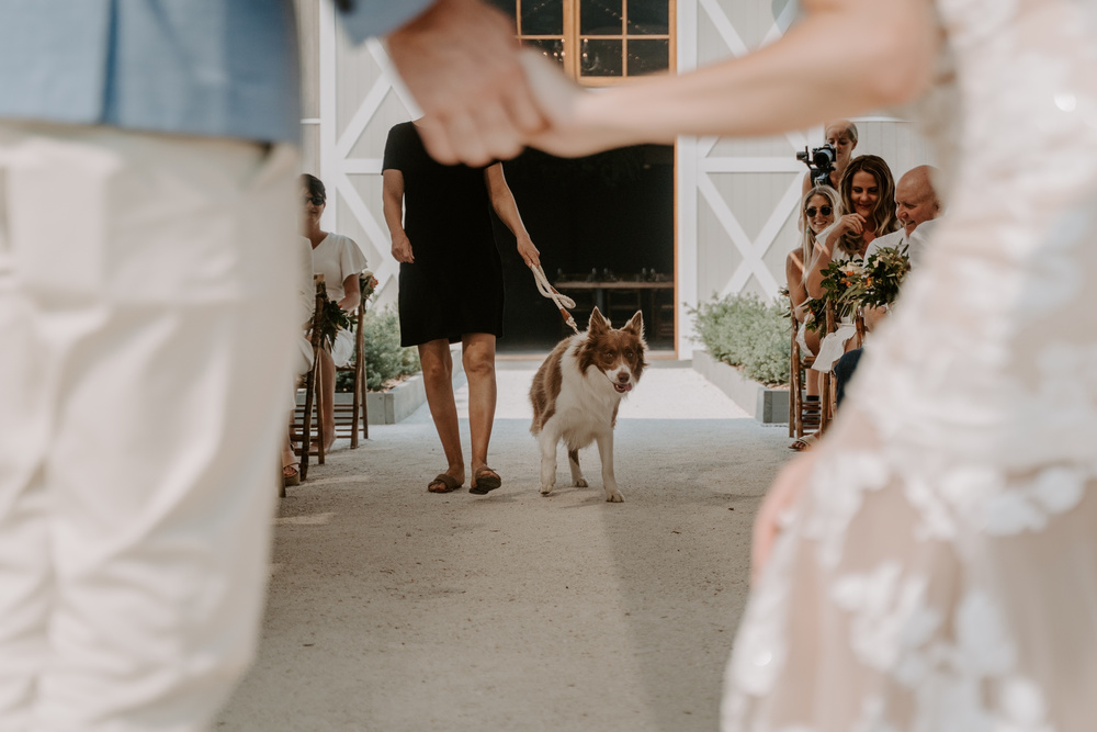 Australian Micro-wedding In The Hinterland Countryside