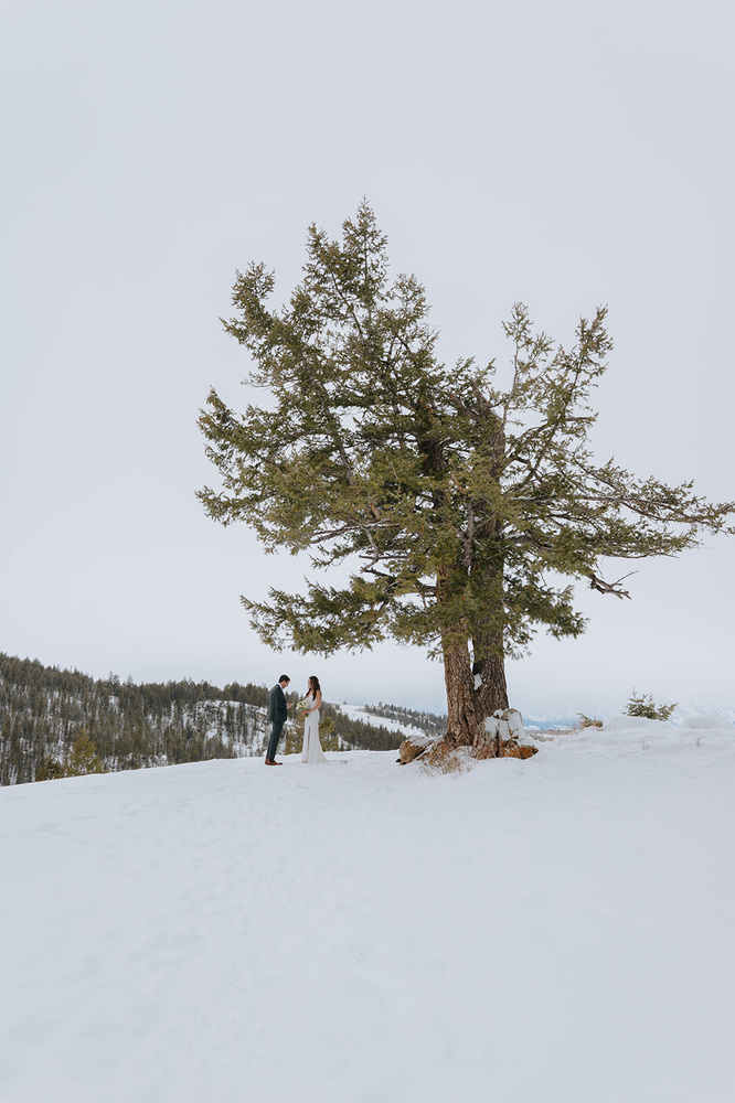 Winter Elopement In Jackson Hole