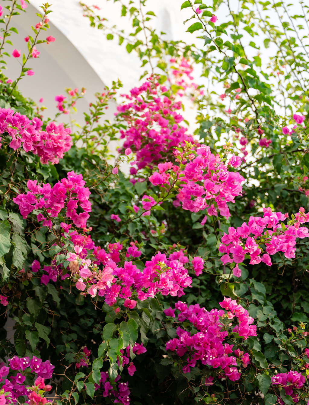 A Luxury 3 Day Santorini Wedding