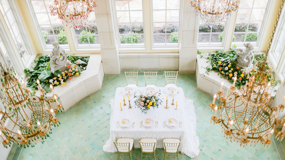 A Citrus Inspired Dream