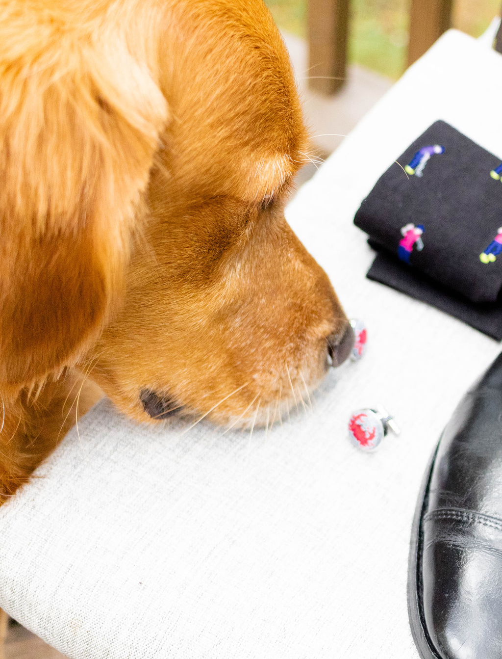 Darling Fall Garden Wedding At Airlie | Caroline & Dylan | Virginia Wedding Photographer