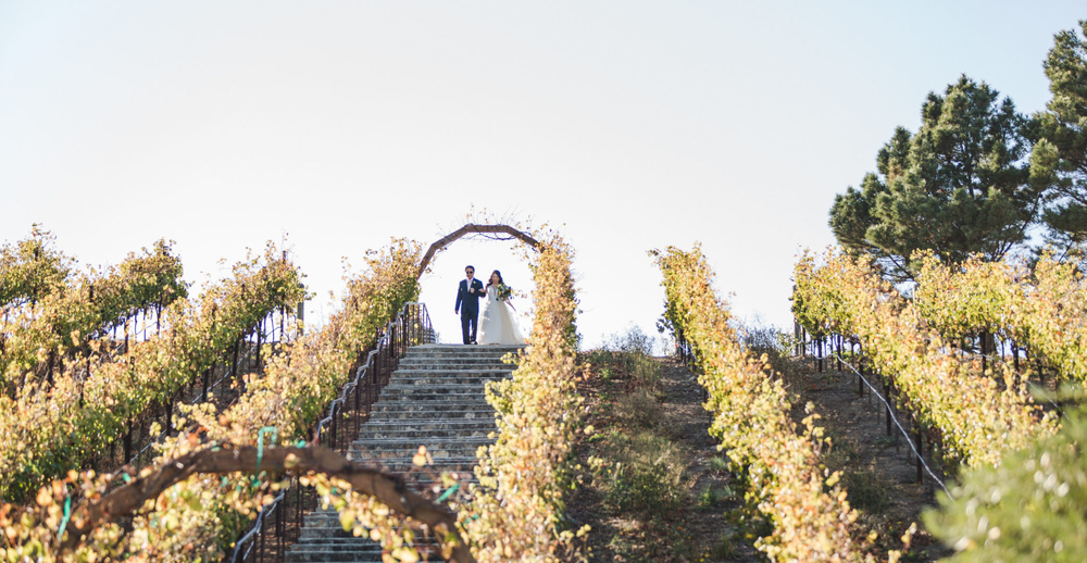 Favorite Winery Wedding Venues In California