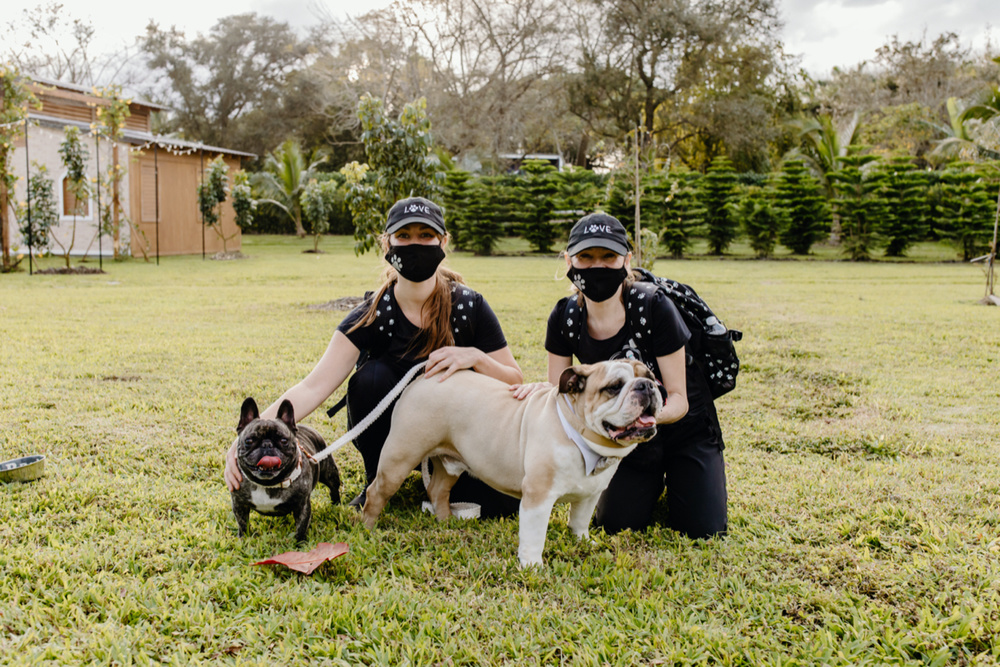 Why Hire A Wedding Pet Care Company