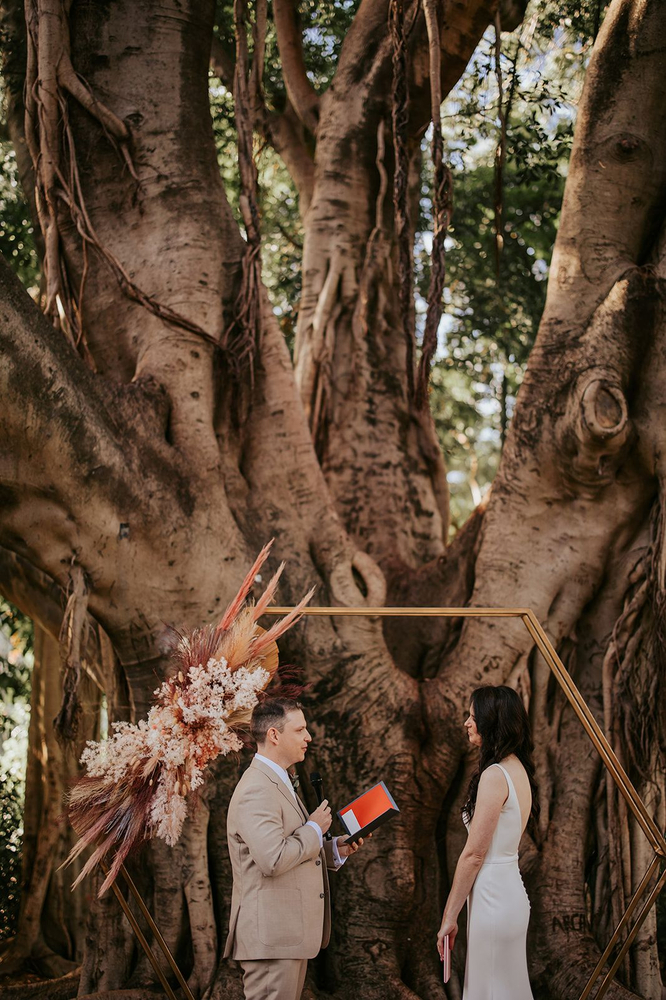 Dreamy Wedding In Brisbane City Beneath A Fig Tree