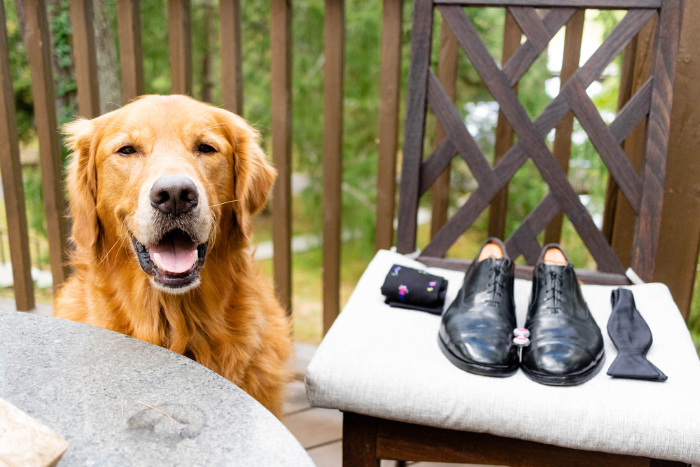 Darling Fall Garden Wedding At Airlie | Caroline & Dylan | Virginia Wedding Photographer