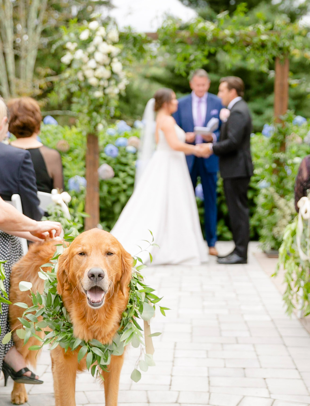Darling Fall Garden Wedding At Airlie | Caroline & Dylan | Virginia Wedding Photographer