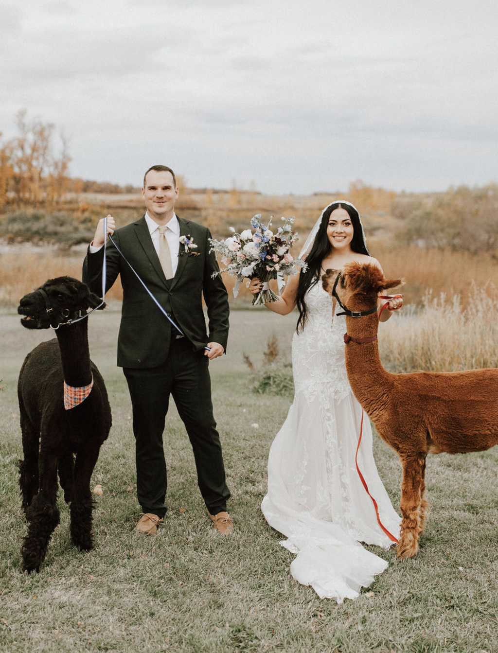 Clear Top Tent Wedding At Starlit Point