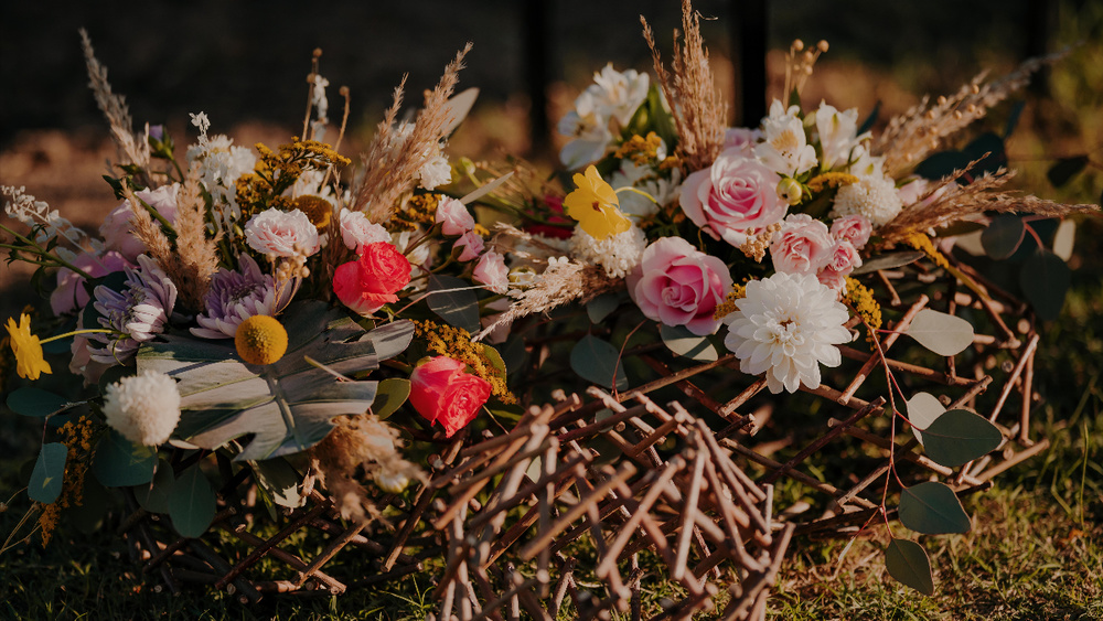 Photo  Shoot  Tamarindos