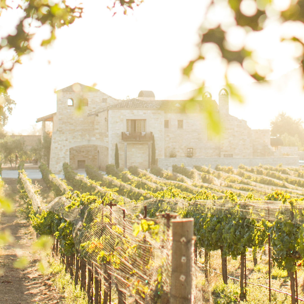 Favorite Winery Wedding Venues In California