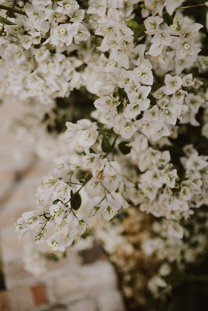 An Elegant Country Elopement In Queensland Australia