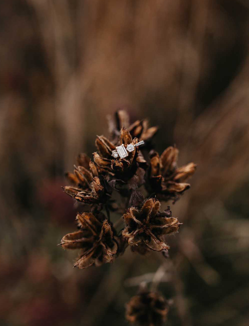 Three Stone Engagement Rings To Proclaim Your Everlasting Love