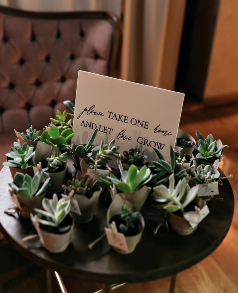 Babys Breath Wedding