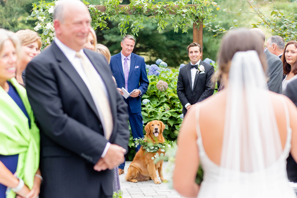 Darling Fall Garden Wedding At Airlie | Caroline & Dylan | Virginia Wedding Photographer