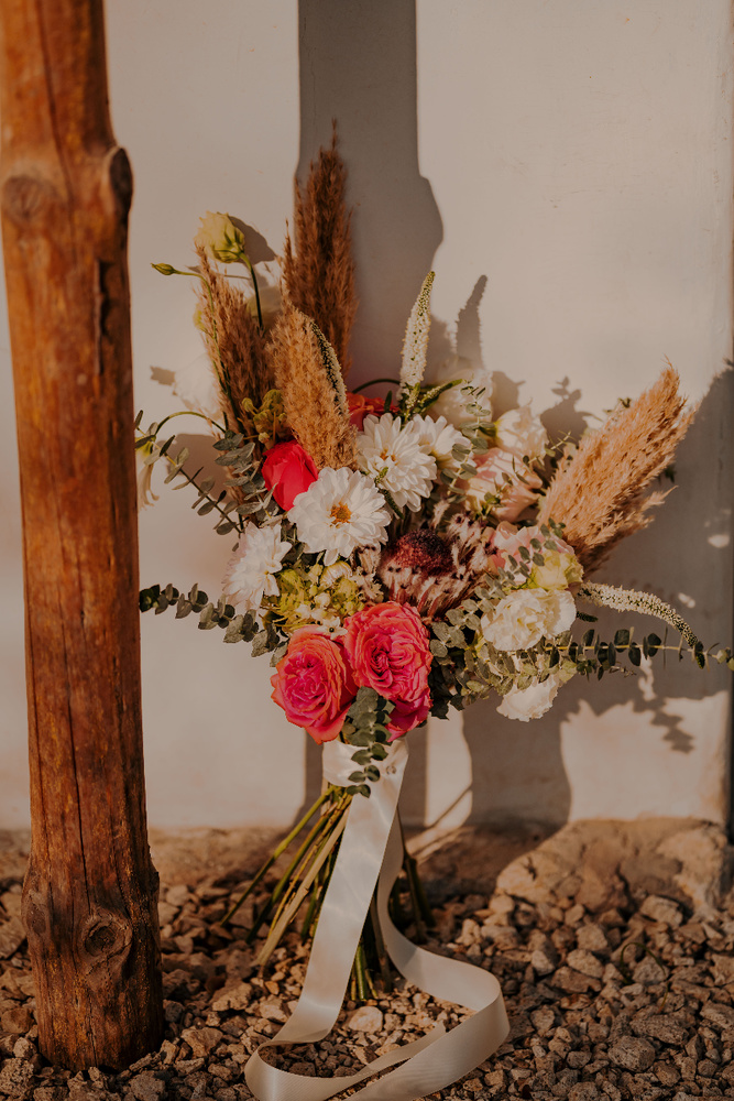 Photo  Shoot  Tamarindos